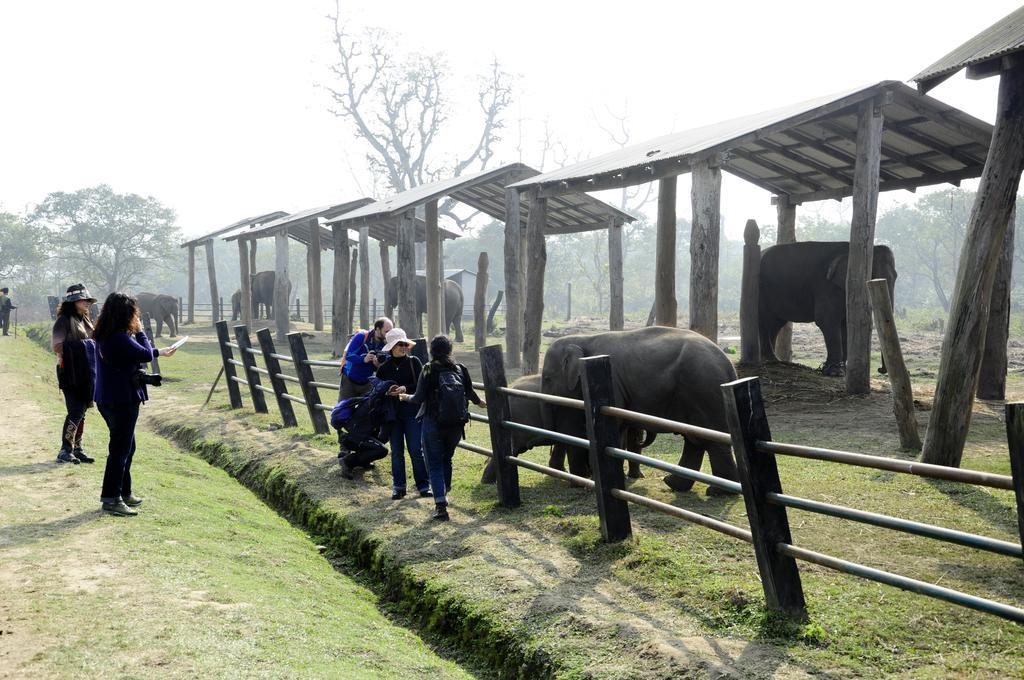 Green Park Chitwan Sauraha Luaran gambar